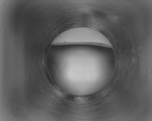 X0000075410277200609081009