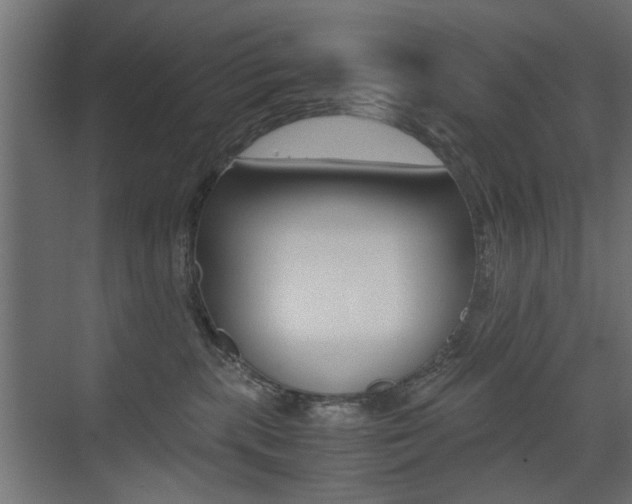 X0000075410283200609081010