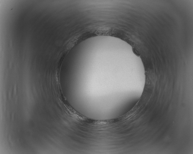 X0000075410287200609081010