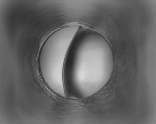 X0000075410289200609081009