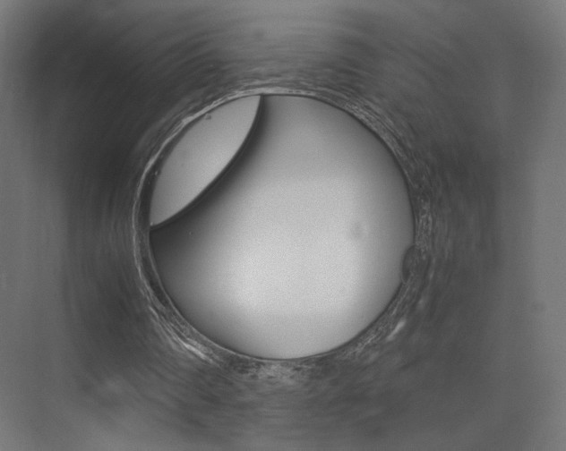 X0000075410290200609081009