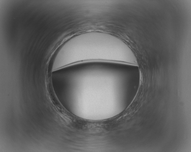 X0000075410291200609081009