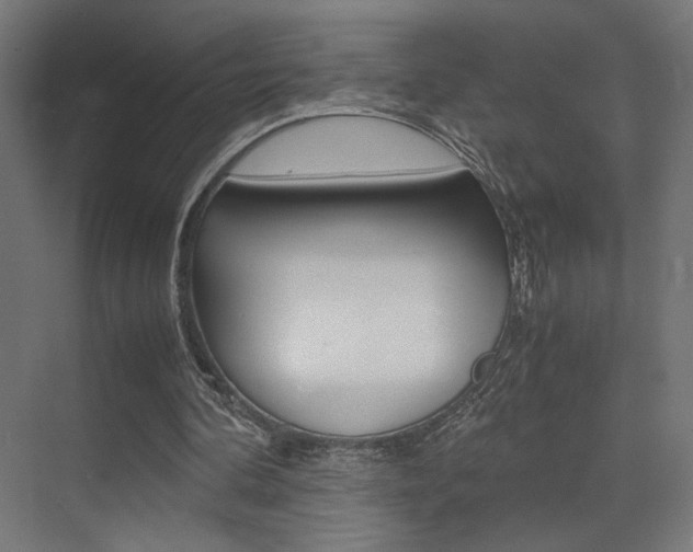 X0000075410292200609081009
