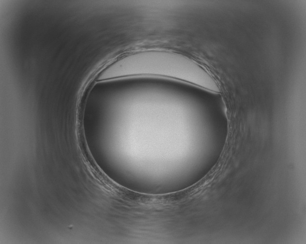 X0000075410293200609081009