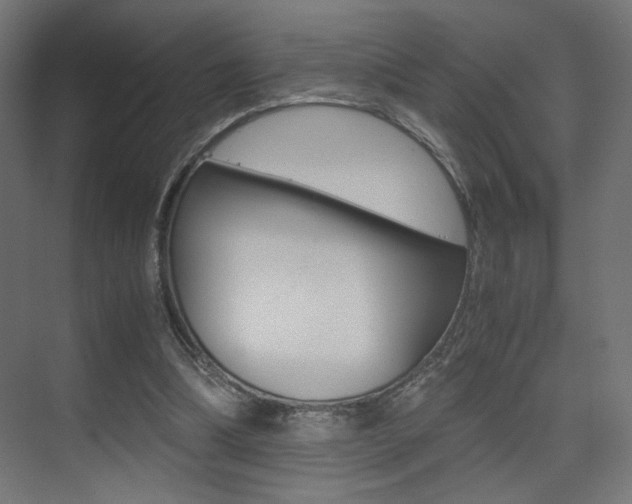 X0000075410298200609081009