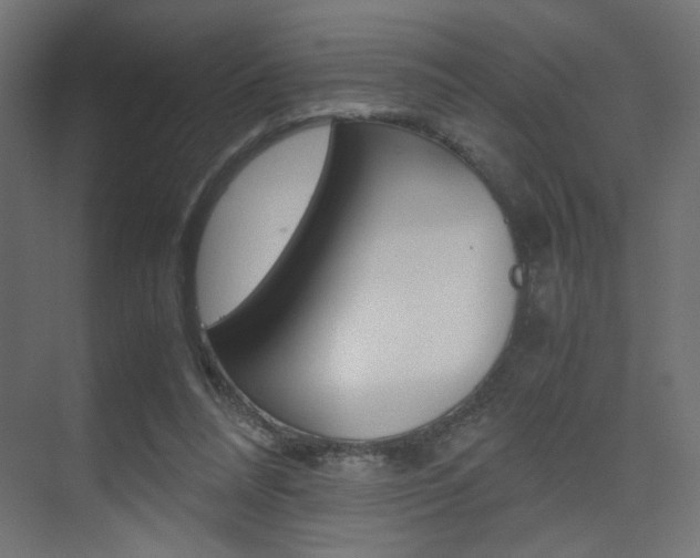 X0000075410304200609081009
