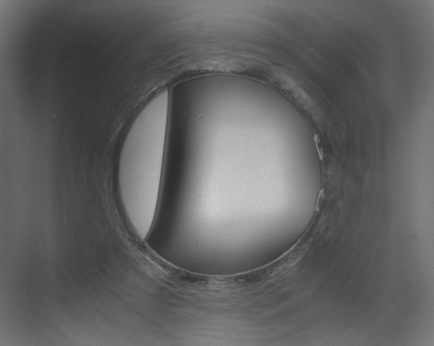 X0000075410305200609081009