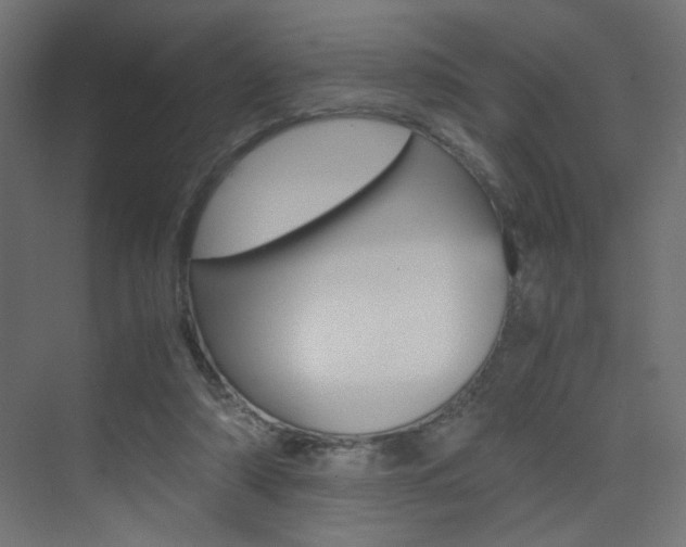 X0000075410306200609081009