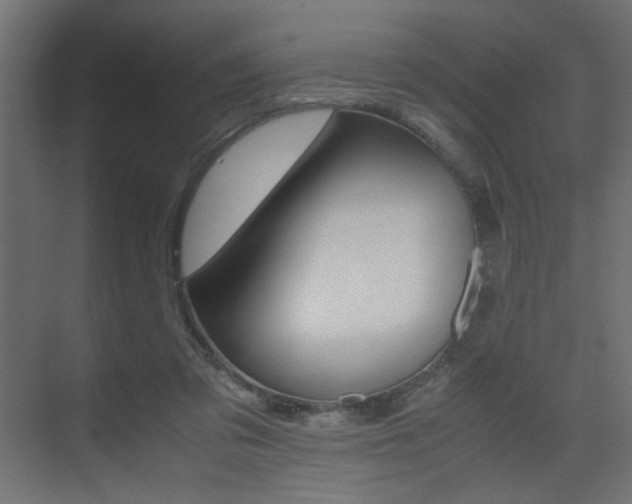 X0000075410309200609081008
