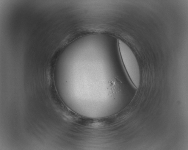 X0000075410312200609081008