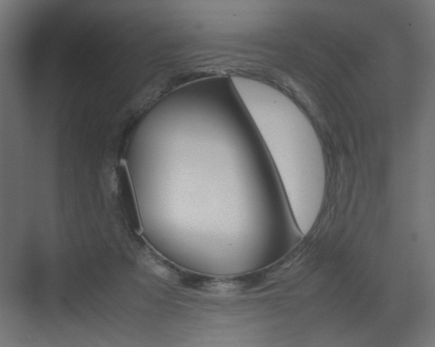 X0000075410313200609081008
