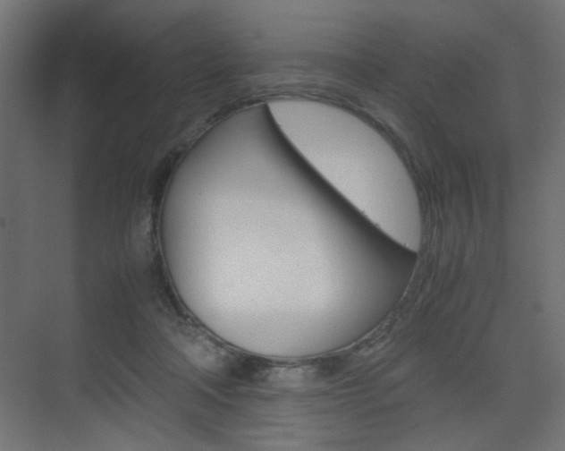 X0000075410314200609081008