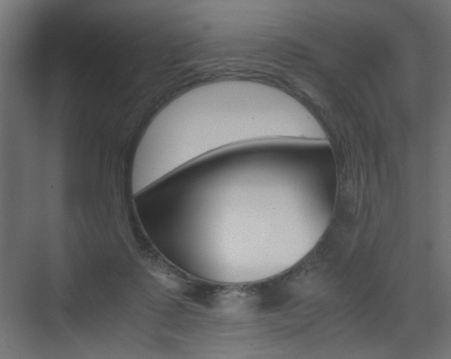 X0000075410315200609081008