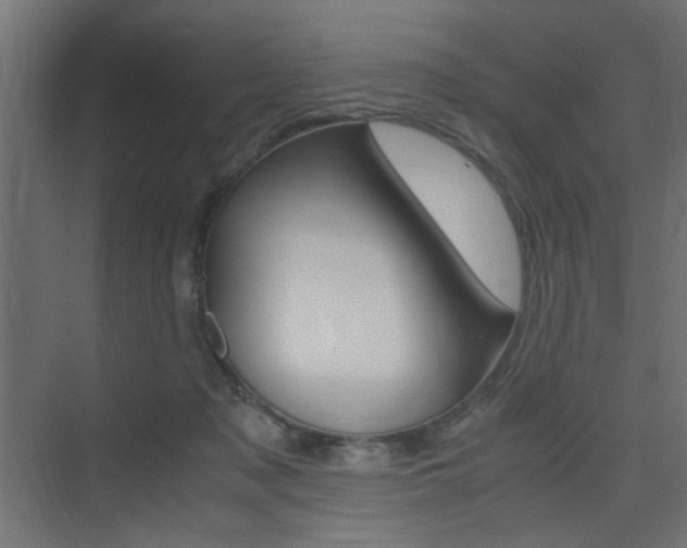 X0000075410317200609081008