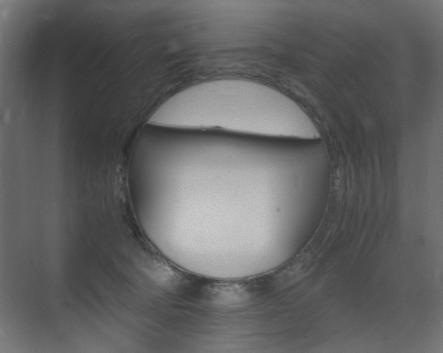 X0000075410322200609081008