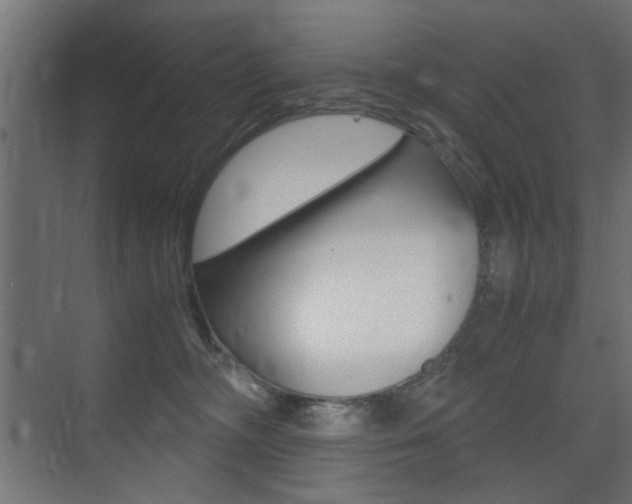 X0000075410326200609081008