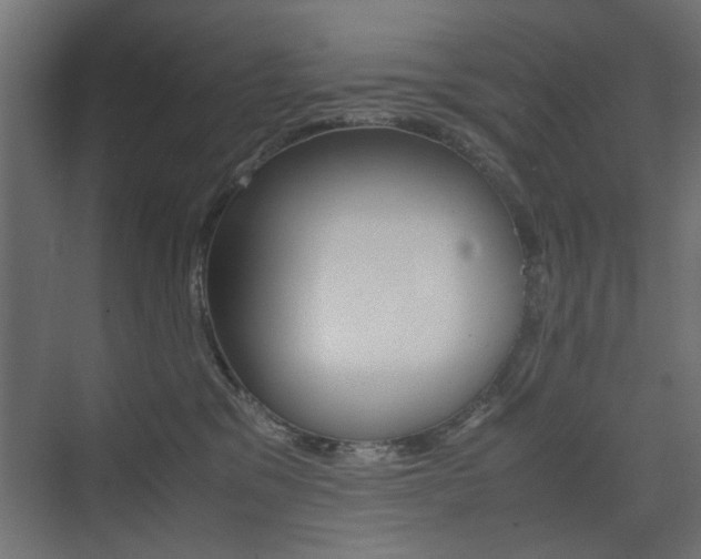 X0000075410329200609081008