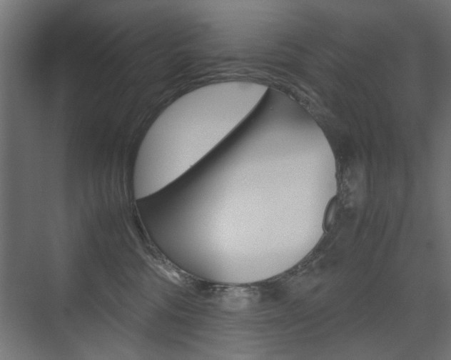 X0000075410330200609081008