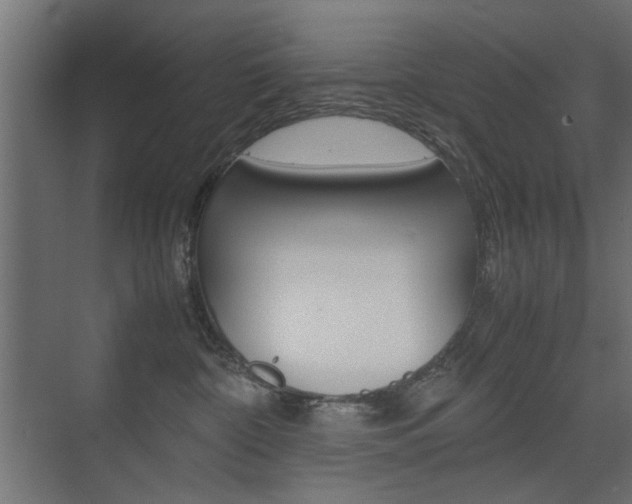 X0000075410332200609081008