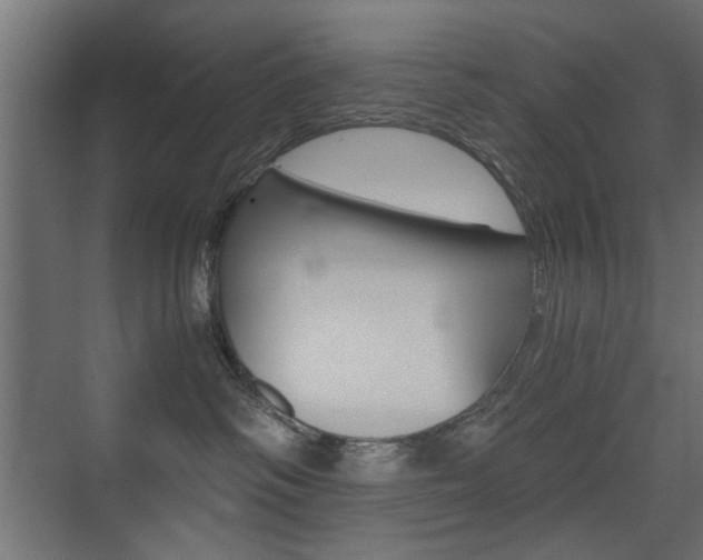 X0000075410334200609081008