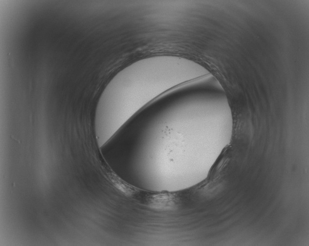 X0000075410335200609081008