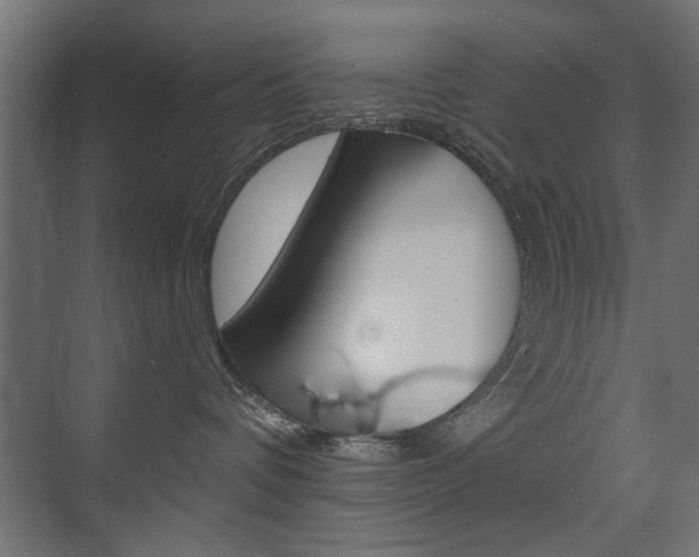 X0000075410336200609081008