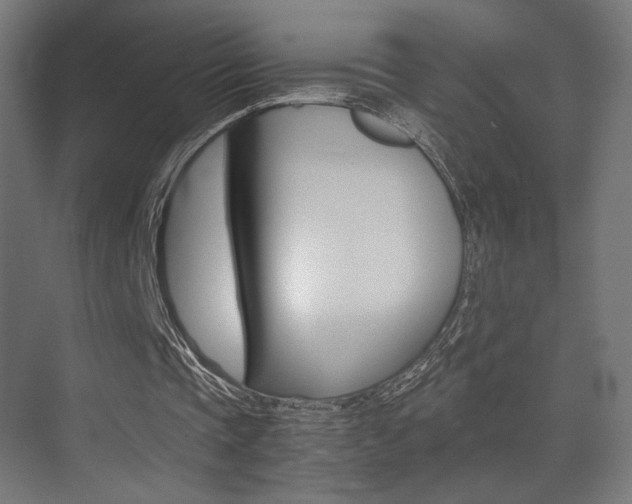 X0000075410337200609081007