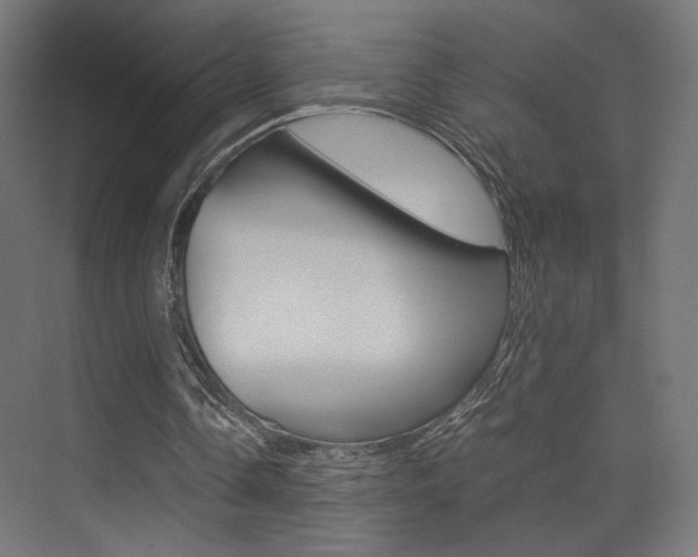 X0000075410338200609081007