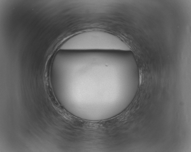 X0000075410339200609081007