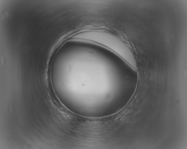 X0000075410340200609081007