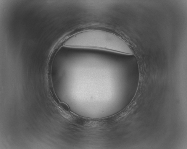 X0000075410341200609081007
