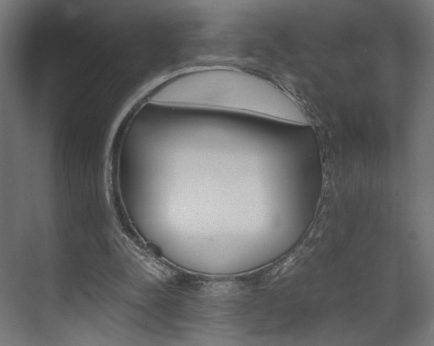 X0000075410342200609081007