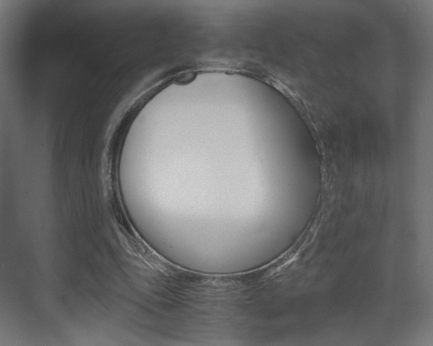 X0000075410343200609081007