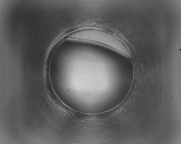 X0000075410344200609081007