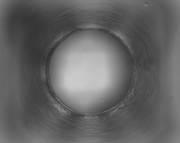 X0000075410345200609081007