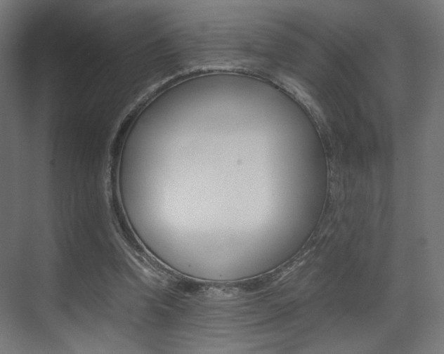 X0000075410346200609081007