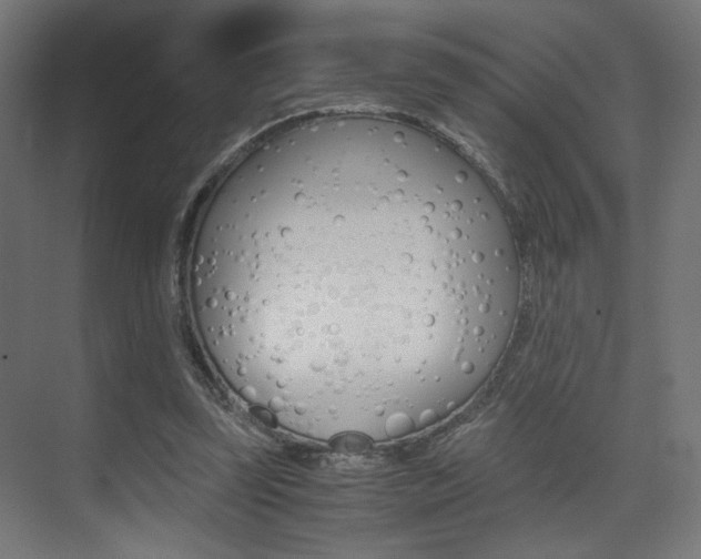 X0000075410347200609081007