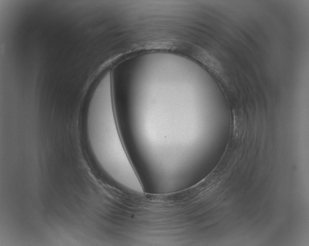 X0000075410348200609081007