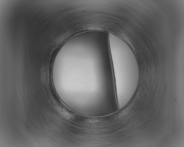 X0000075410349200609081007