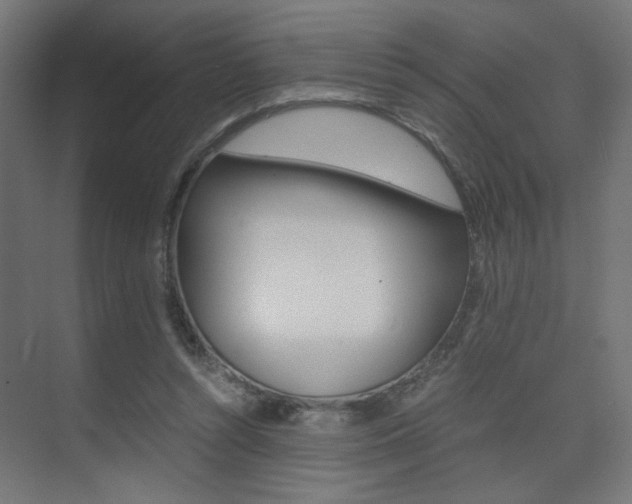 X0000075410352200609081007