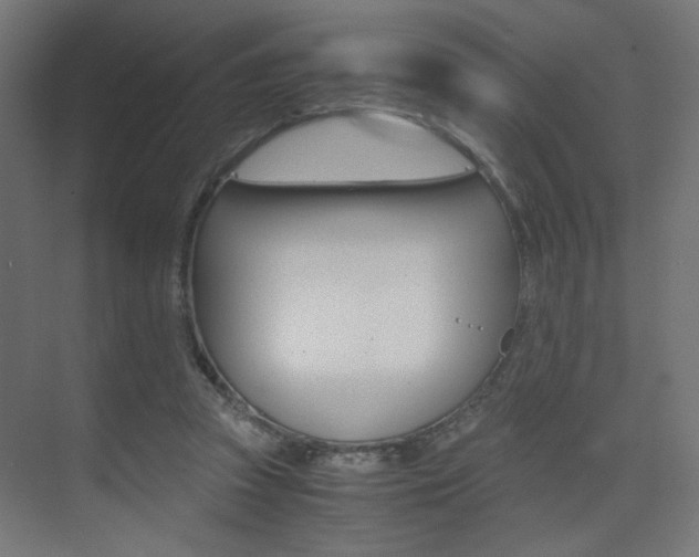 X0000075410353200609081007