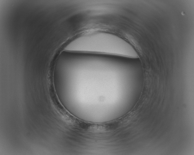 X0000075410354200609081008
