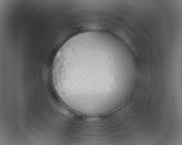X0000075410355200609081008