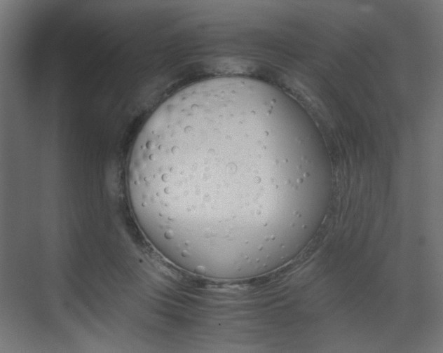 X0000075410359200609081008