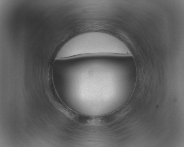 X0000075410362200609081008