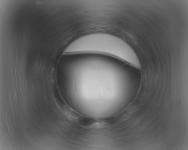 X0000075410364200609081008