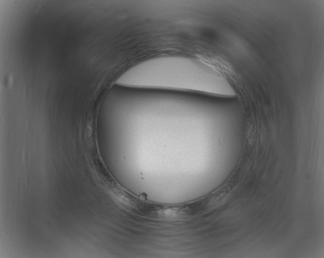 X0000075410365200609081008
