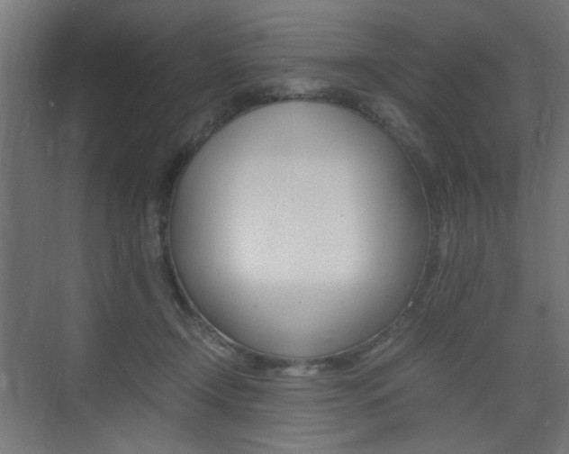 X0000075410366200609081008