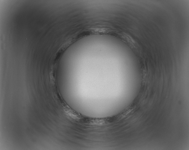 X0000075410377200609081008