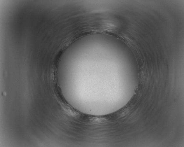 X0000075410379200609081008